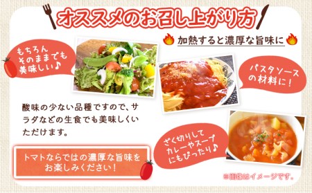 【先行予約】【2月出荷】 和歌山産 ミニトマト アイコトマト 約2kg SまたはMサイズ サイズおまかせ 厳選館 【配送不可地域あり】 《2027年2月上旬-3月中旬頃出荷》 和歌山県 日高川町 トマ