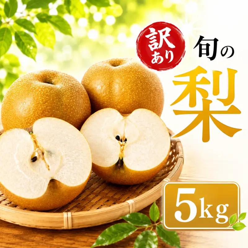梨 訳あり 旬の梨 約5kg  梨 神戸梨園