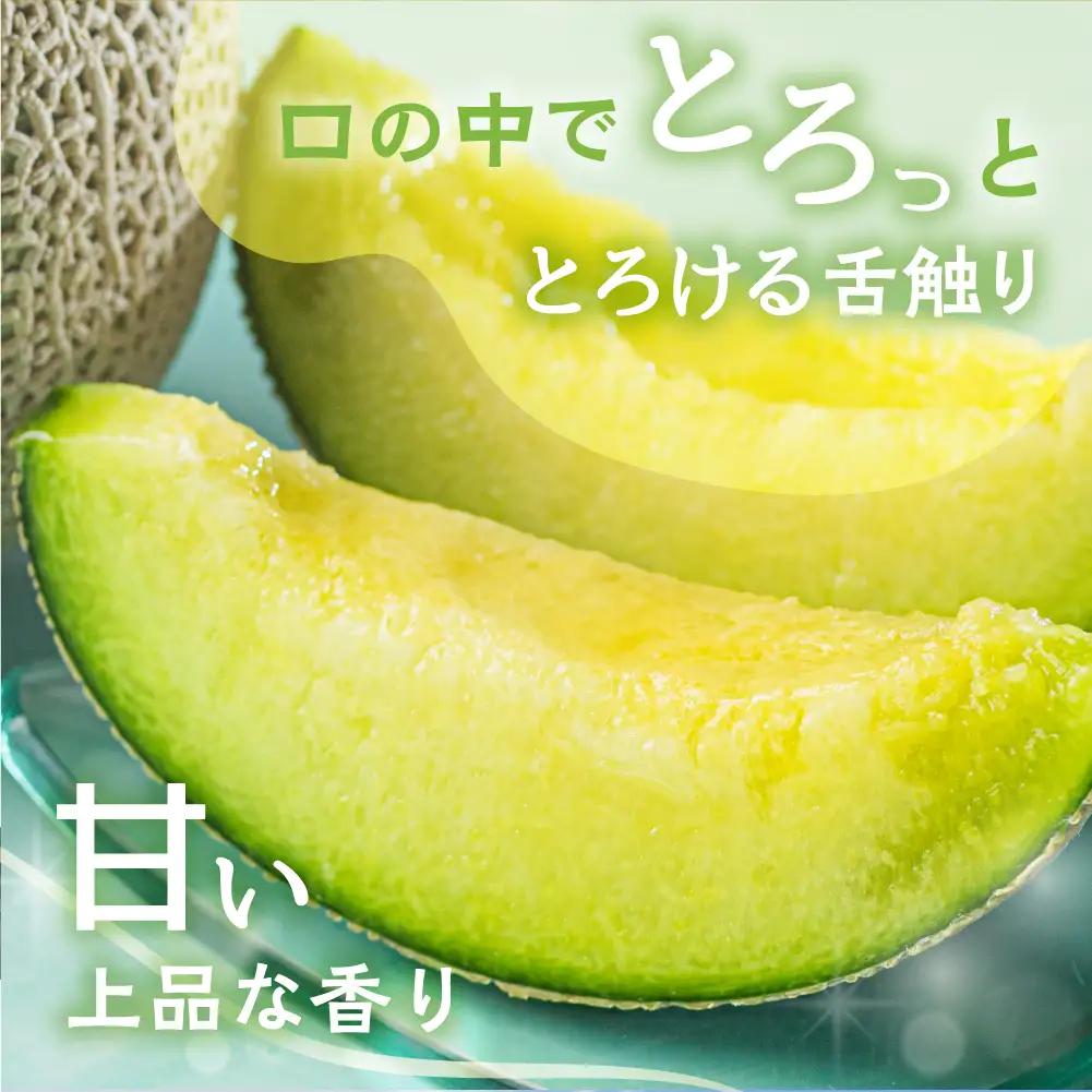 【6月中旬～発送】マスクメロン 2玉 メロン マルカベジフル 