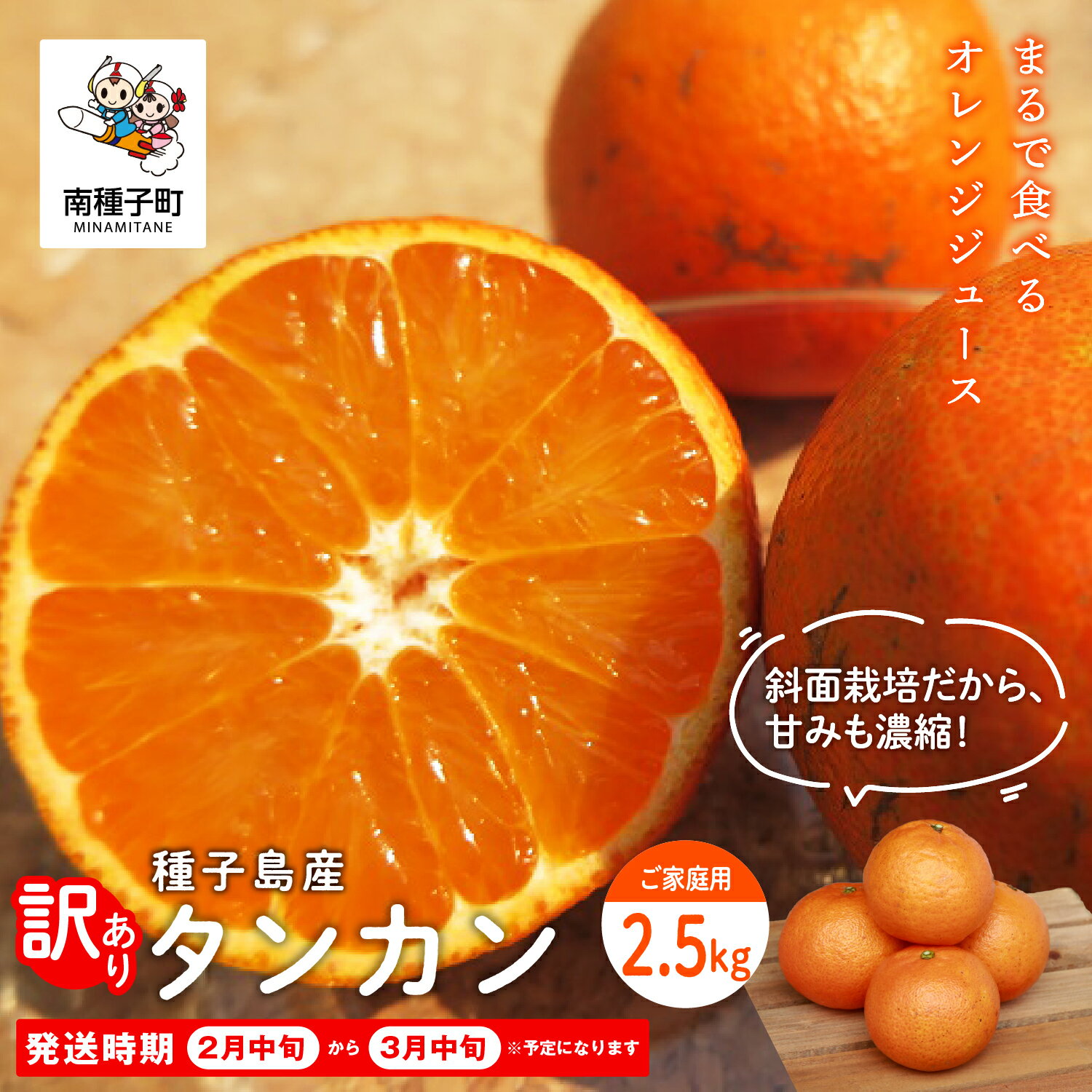 【ふるさと納税】《 先行予約 》訳あり 種子島産タンカン 約 2.5kg 家庭用 タンカン たんかん オレンジ 果物 フルーツ 食品 グルメ お取り寄せ お正月 人気 おすすめ ギフト 返礼品 南種子町 鹿児島 かごしま 《 2027年2月中旬〜3月中旬頃順次発送 》【南種子町果樹部会】