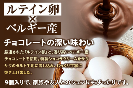 ショコラエッグタルト 9個入 タルト チョコレート ショコラ 洋菓子 お菓子 スイーツ おやつ ルテイン ギフト 贈り物 贈答 愛知県 東浦町