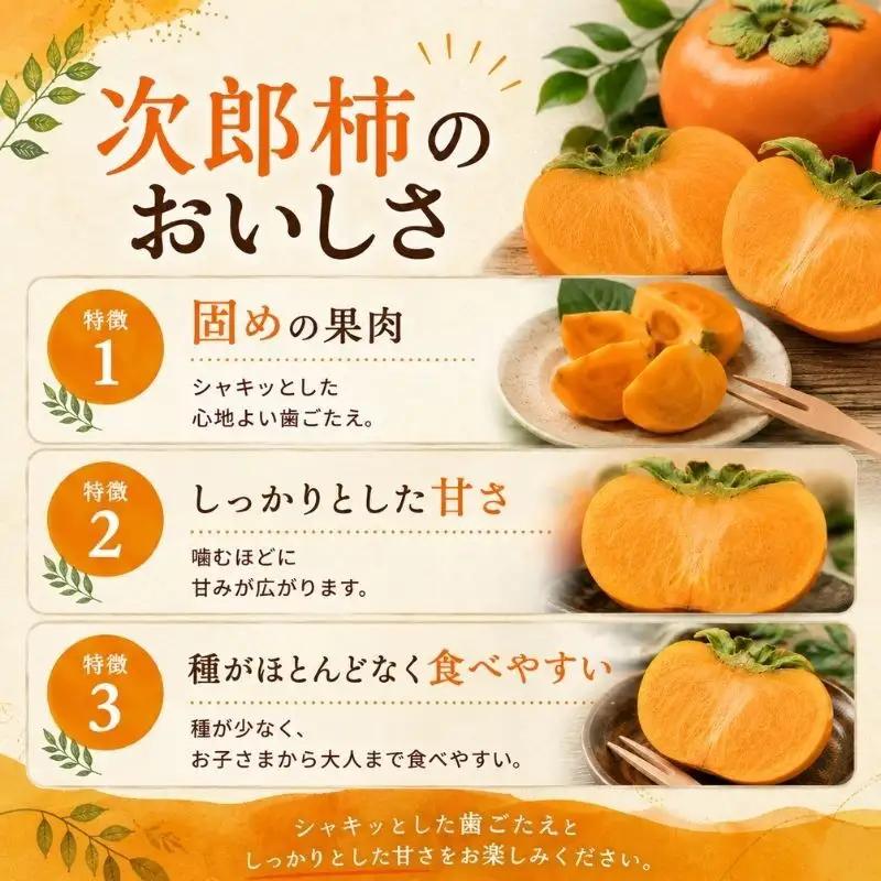 柿 次郎柿 2kg 11個 果物 くだもの フルーツ 柿