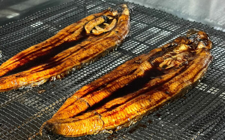 魚 鰻のかば焼き 2本 [AIEH005]うなぎ