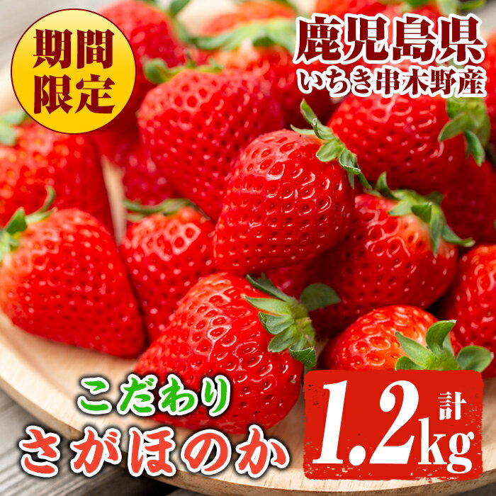 【ふるさと納税】＜先行予約受付中！＞《期間限定》こだわりさがほのか(計1.2kg) 県内初の観光イチゴ農園直送！甘酸っぱい旬の苺をお届け 国産 九州産 苺 イチゴ いちご さがのほか フルーツ 果物 果実 【いちごハウス木場】