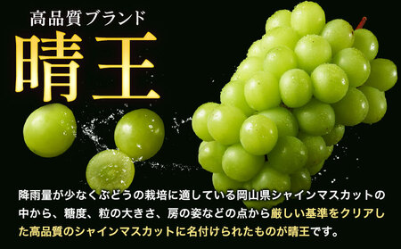 ぶどう シャインマスカット 晴王 1.2kg 2房 4ヶ月定期便 彩美菜果《7月上旬-10月末頃出荷》 マスカット 送料無料 岡山県 浅口市 フルーツ 果物 贈り物 国産 くだもの 果物 7月 8月 