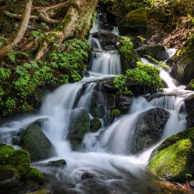 ふるさと納税 津南町 【毎月定期便】県認証特別栽培魚沼産コシヒカリ10kg (10kg×1袋)×3回 合計30kg全3回 |  | 02
