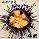 【ふるさと納税】殻付きウニ 4個 生うに 雲丹 長門市 ムラサキウニ (10043)