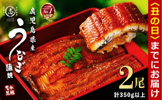 【丑の日までに配送】鹿児島県産うなぎ蒲焼 名水慈鰻 2尾＜計350g以上＞ うなぎ 鰻 ウナギ 国産 九州産 蒲焼 かばやき 人気 うな重 ひつまぶし a3-236-us