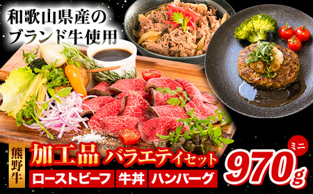 熊野牛 加工品バラエティセット 計970g