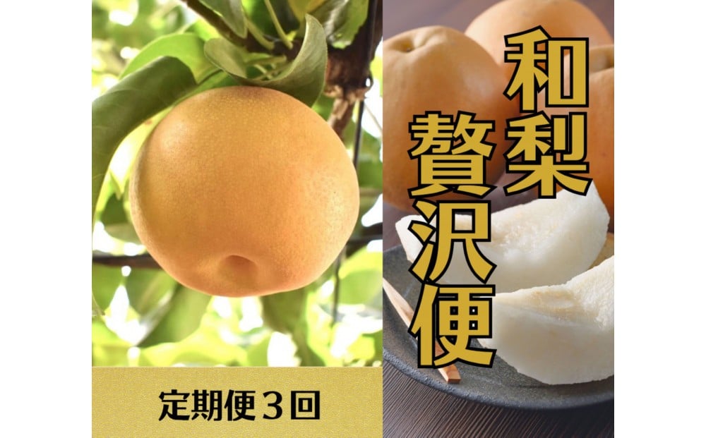 
            2026年度発送 【定期便3回】 和梨贅沢便
          