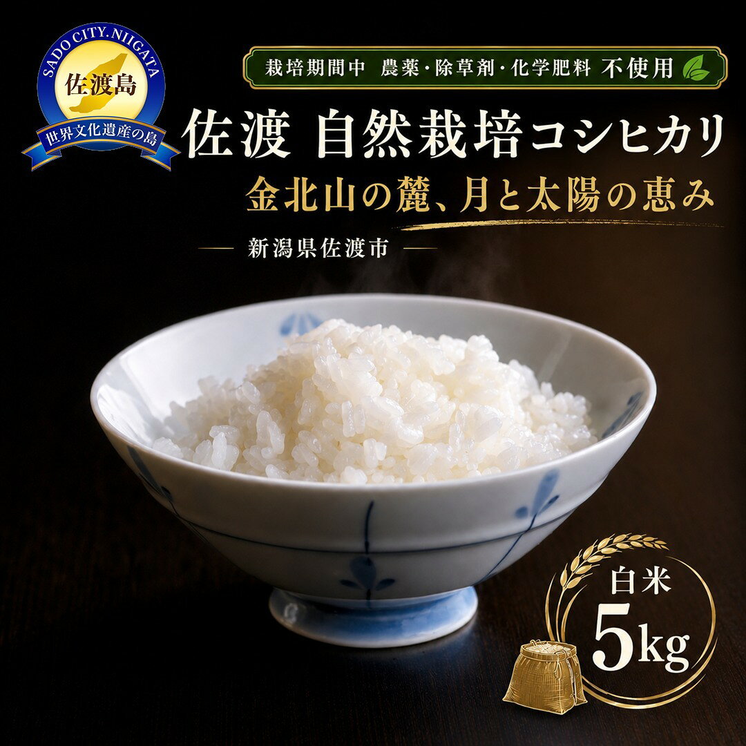 【ふるさと納税】米 コシヒカリ 新潟 5kg 令和7年産 自然栽培米 佐渡産 こしひかり 白米 精米 新潟県産 5キロ こめ コメ ブランド米 農薬・化学肥料・除草剤不使用 おすすめ お取り寄せ ごはん おにぎり お弁当 SoleLuna農園 金北山の麓 新潟県 佐渡市
