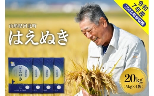 【令和7年産米】2026年1月下旬発送 はえぬき20kg（5kg×4袋） 山形県産 【米comeかほく協同組合】 ka024-046d-r7-013