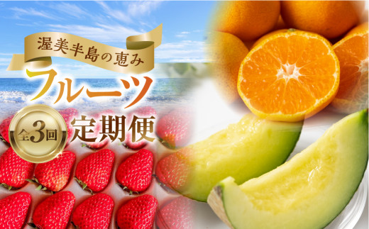 先行予約 2025年発送 渥美半島の恵み フルーツ 定期便 3回 ( いちご / マスクメロン / ハウスみかん) 果物 旬 めろん イチゴ みかん 紅ほっぺ 期間限定 季節の果物 人気  34000円 頒布会