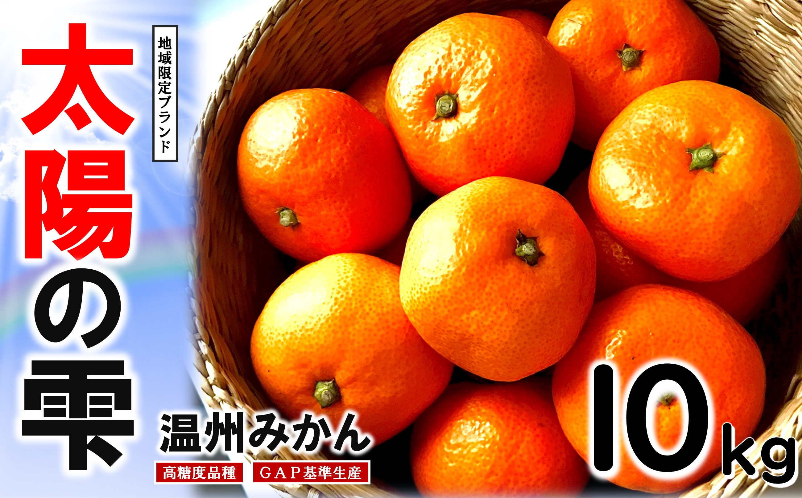 
            【 先行予約 】 太陽の雫 （しずく） みかん 極甘 期間限定 10kg  | みかん ミカン 太陽のしずく 早生 柑橘 柑橘類 フルーツ 果物 熊本 和水
          
