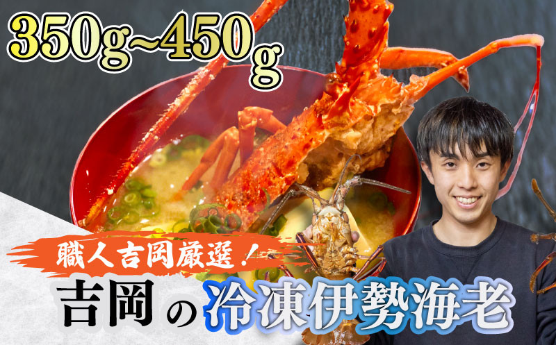 
訳あり 朝獲れ 伊勢海老 350g ～ 450g 規格外 わけあり 急速 冷凍 産地直送 須崎 高知 海鮮 魚介類 お正月 お祝い イセエビ
