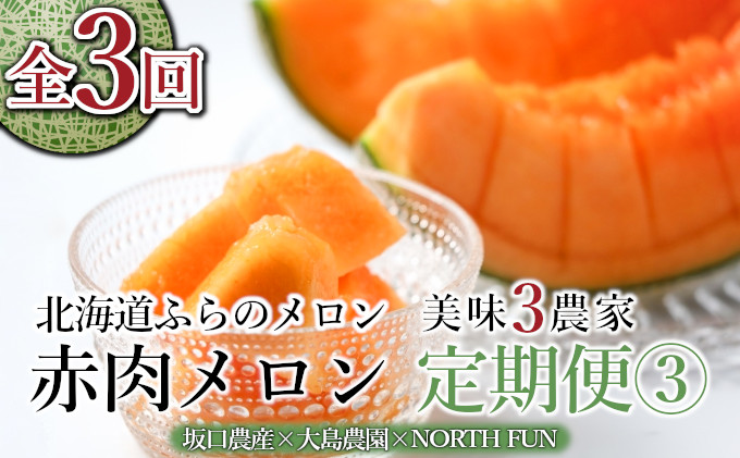 【年3回定期便】【2026年6～9月お届け】数量限定！ こだわり