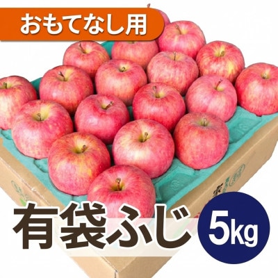 【先行受付】青森県産りんご 平均糖度13度以上! 有袋ふじ 約5kg おもてなし用【配送不可地域：離島・沖縄県】