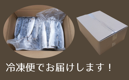 訳あり 昆布塩さば 3kg