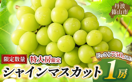 【早期予約限定】シャインマスカット 丹波篠山産 大粒だけ 〈1房・750g以上〉 シャインマスカット[PAK01]