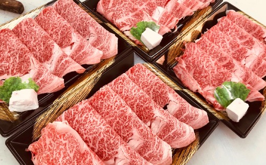 博多和牛サーロインしゃぶしゃぶ用（約500g）