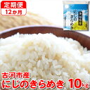 【ふるさと納税】【定期便 12か月】【新米】令和6年産 古河市産にじのきらめき 10kg（5kg×2袋）｜米 コメ こめ ごはん ご飯 ゴハン 白飯 単一米 国産 にじのきらめき にじきら 10kg 茨城県 古河市 定期便 12ヶ月 12回 1年 茨城県 古河市_DP48