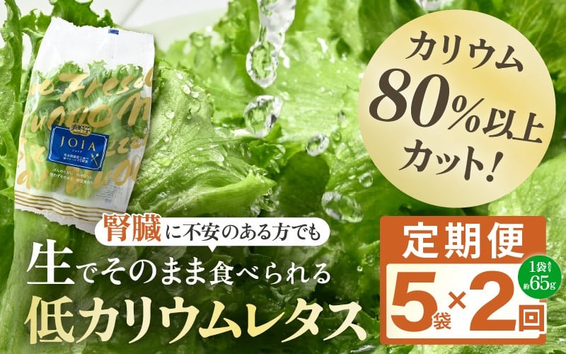 
            定期便 ≪2ヶ月連続お届け≫ 【機能性×美味しさ】低カリウム水耕レタス JOIA（ジョイア） 約65g×5袋（栽培期間中農薬不使用・洗わず食べられる） 【野菜 生野菜 レタス サラダ お弁当 水耕栽培 洗わず食べられる 時短 付け合わせ】[m40-a019]
          