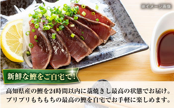 冷凍していない生鰹 高知県産 土佐久礼 藁焼き生鰹たたき 約750g 魚介類 魚 お魚 刺身 初鰹 戻り鰹 【池澤鮮魚オンラインショップ】 [ATBE001]