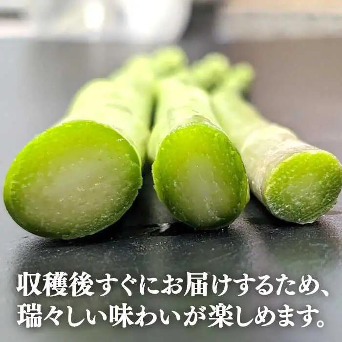 【お中元】【アスパラガス専門農家が作る！】壱岐産アスパラガス1kg(2Lサイズ)  ≪壱岐市≫【きたじま農園】 [JGI002]
