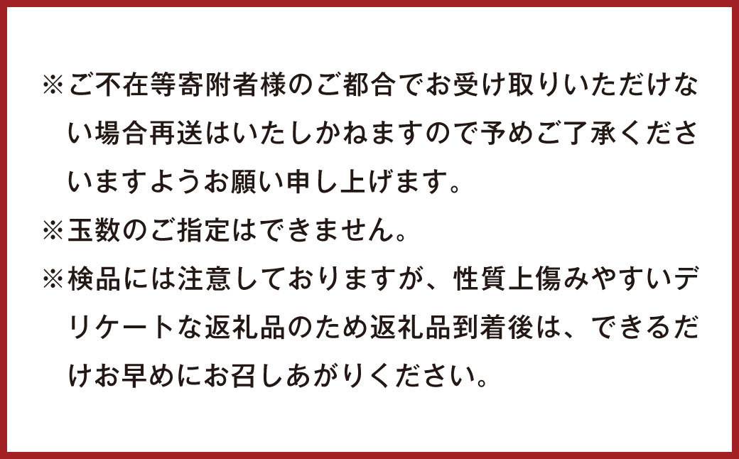 徳之島 天城町産 ドラゴンフルーツ 赤白混合 約2kg
