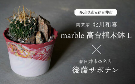 ＼レビューキャンペーン実施中!!／多治見市×春日井市コラボ 【美濃焼】 陶芸家「北川和喜」 marble 高台植木鉢 L × 【日本有数のサボテンの生産地】 春日井市の名店 後藤サボテン 【井澤コーポレーション】[TBP172]