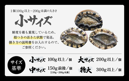 【先行予約】天然 黒アワビ 計400g (2～4個) 小サイズ 【2027年4月より順次発送予定】 鮮度抜群 黒あわび  [m17-d005_04]
