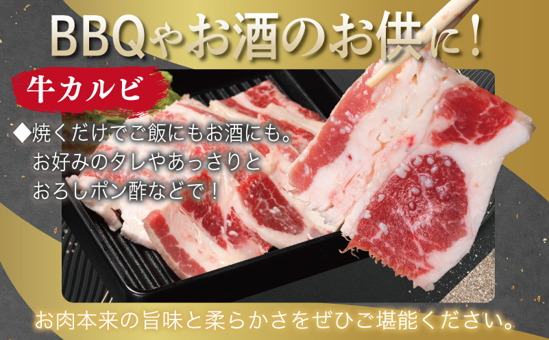 【お中元】 牛カルビ＆シマチョウ 塩麹漬け 焼肉セット 合計1.5kg【味付け 小分け 焼くだけ 簡単調理 BBQ 250g×6袋 牛肉 ホルモン】 099H3398t