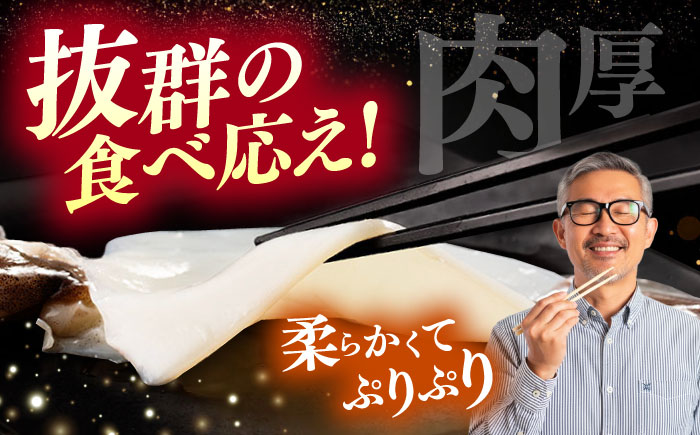 【全12回定期便】するめ いか 一夜干し セット《対馬市》【対馬地域商社】九州 長崎 海鮮 [WAC026]冷凍 新鮮 簡単調理 肉厚 スルメイカ いか 小分け 天ぷら 炒め物 おつまみ 個包装 贈り