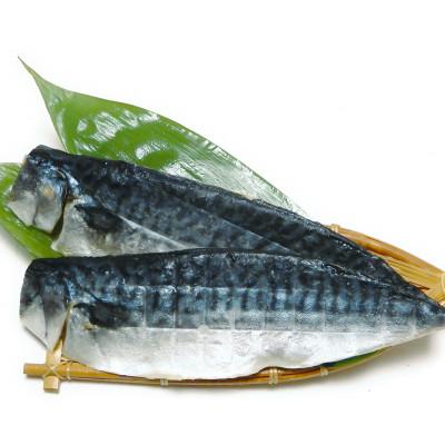 ふるさと納税 神栖市 【訳あり】さば文化干し　どーんと! 4.8kg |  | 01