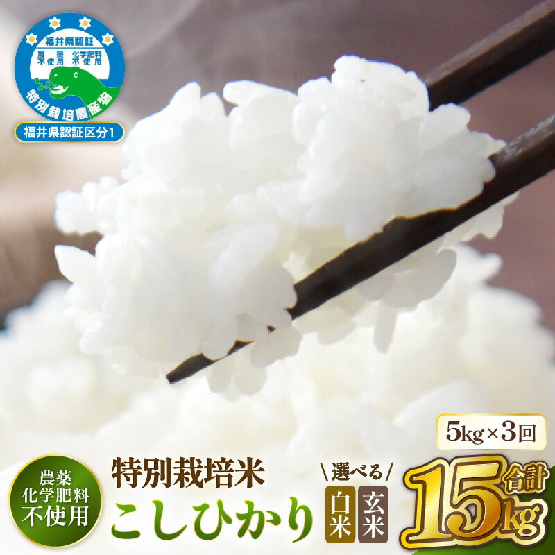 【ふるさと納税】 定期便 ≪3ヶ月連続お届け≫【令和7年産 】特別栽培米コシヒカリ5kg × 3回（合計15kg）【選べる精米方法：白米／玄米】 農薬不使用米 福井県認証区分1取得 越前町【5キロ お米 コメ 農薬化学肥料不使用 送料無料】