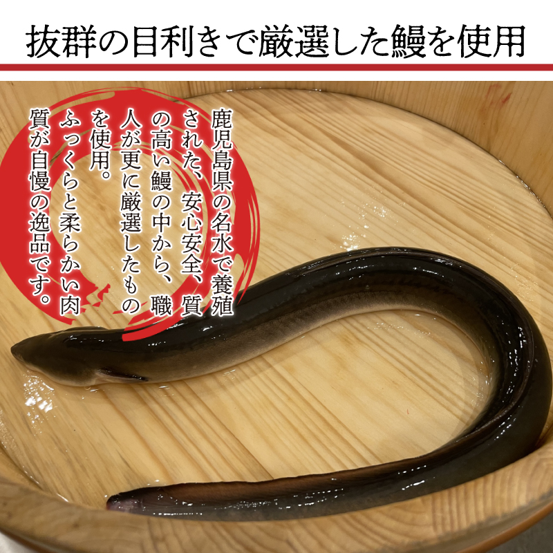 ＜いろは＞うなぎ蒲焼 国産 150g × 4尾 (有頭)　[M778-2] ウナギ 鰻 炭火焼き ふっくら 肉厚 うな重 ランキング 土用の丑の日 鹿児島県 人気 オススメ 宮若市