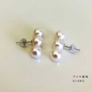 志摩産アコヤ真珠 7-7.5ミリ 3粒ラインピアス（K14WG） / あこや真珠 ピアス 真珠 ピアスパール 伊勢志摩 志摩 アクセサリー ギフト プレゼント パール 母の日 人気 ホワイトデー 〔0