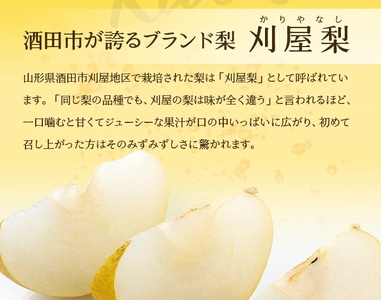 SA2587　酒田の美味しい刈屋梨(和梨) 秀品　2.5kg以上(6～9玉入)　品種おまかせ