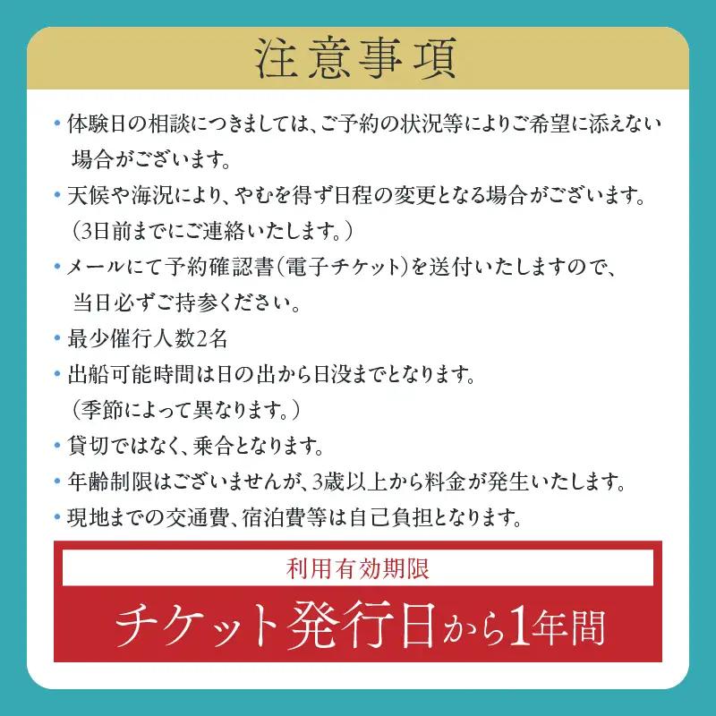 日南海岸観光 クルージング チケット 1枚 ペア 1組 体験チケット クルーズ体験 マリンアクティビティ体験 アウトドア ダイナミック 絶景スポット 楽しむ 遊覧船 旅行 記念日 観光 レジャー ギフ