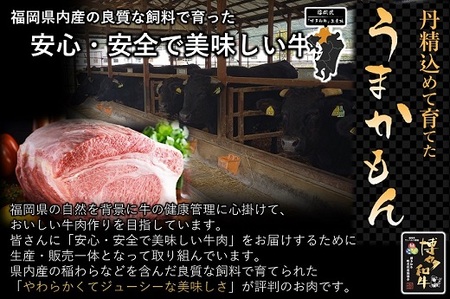 AC146.博多和牛切り落とし500g【博多和牛】