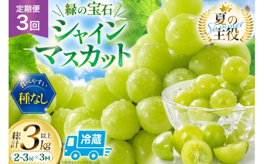 シャインマスカット 先行予約 頬張る幸福感 ～緑の宝石・シャインマスカット～ 1kg 以上 (2～3房) 3回 定期便 総計 3kg 【2026年発送】 [REGALO 山梨県 韮崎市 20745478] ぶどう シャイン シャインマスカット ブドウ シャイン マスカット しゃいんますかっと 葡萄 フルーツ 果物 くだもの 1キロ 山梨◎