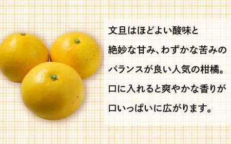 訳あり 文旦 6kg ＋傷み保障500g ぶんたん みかん 蜜柑 果物 柑橘 フルーツ ミカン 産地直送 国産 農家直送 期間限定 数量限定 特産品 傷 シミ サイズミックス ジュース ゼリー ビタミ