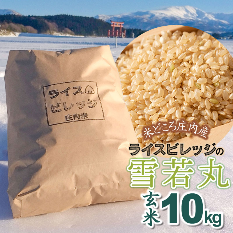 【ふるさと納税】令和7年産【新米】 米どころ庄内産 ライスビレッジの雪若丸 玄米 10kg K-7117 | 山形県 鶴岡市 楽天ふるさと 納税 返礼品