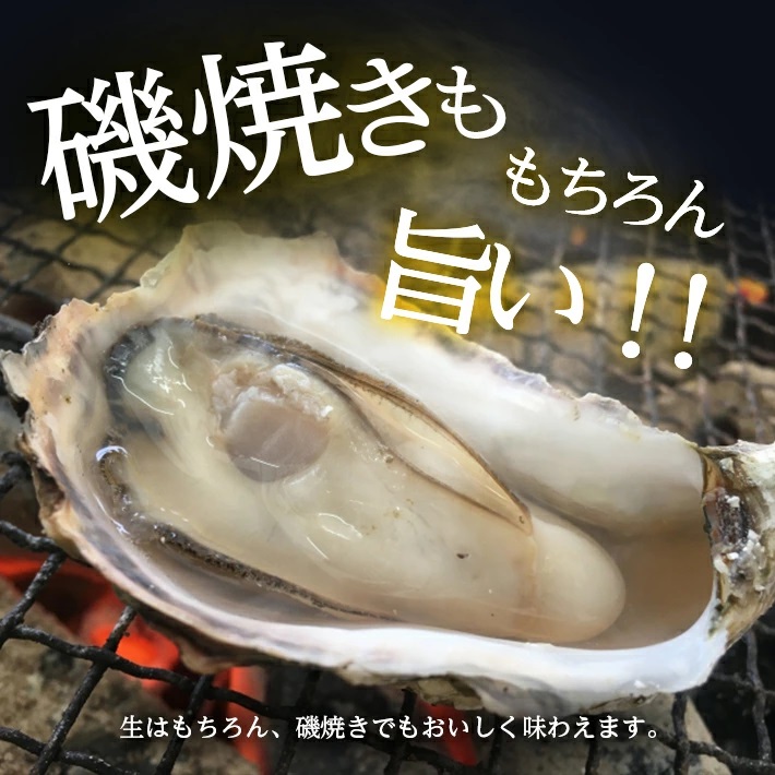 遊佐町女鹿産の天然岩牡蠣3個入り（600g以上）