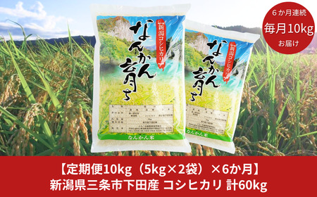 [定期便 10kg（5kg×2袋）×6か月] コシヒカリ 新潟県三条市下田産 こしひかり 計30kg 令和6年産米 6か月連続でお届け [JAえちご中越]【092S004】