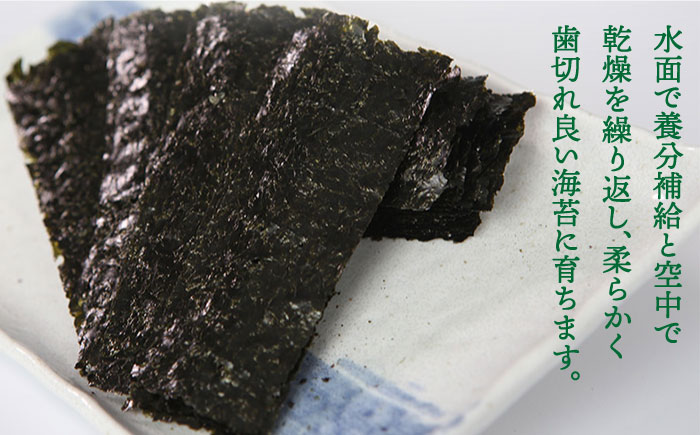 【味重視の一番摘みをお届け！】九州名物とめ手羽 福岡 有明のり 7点セット＜株式会社フェリックス＞那珂川市 [GCE018]