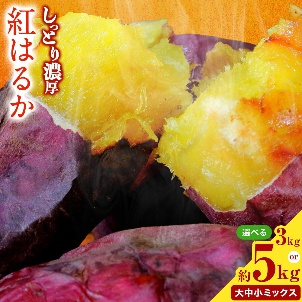 【ふるさと納税】選べる 熊本県 大津町産 タカハマ観光農園 の 紅はるか 約 3 or 5kg 大中小ミックス《2026年1月上旬-6月末頃出荷》 さつまいも さつま芋 芋 スイートポテト 干し芋にも