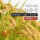 【ふるさと納税】令和6年産／ お米定期便／6ヵ月　しまね川本 こしひかり 10kg (計60kg） 島根県 川本町産 コシヒカリ 藤屋 石見米