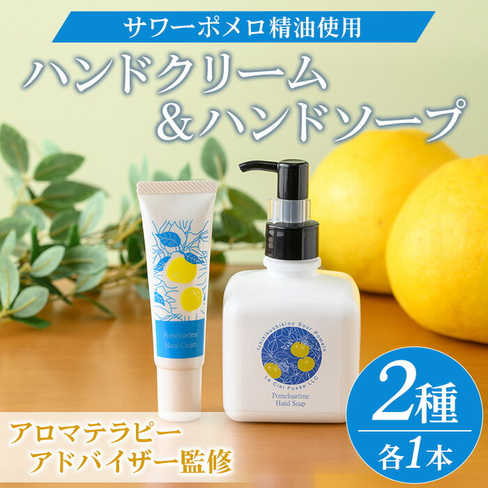 【ふるさと納税】サワーポメロハンドクリーム(30g×1本)＆サワーポメロハンドソープ(200ml×1本) いちき串木野市 ルシエルフュゼ サワーポメロ 柑橘 大橘 みかん ハンドクリーム 保湿 ハンドケア 手荒れ 乾燥 ハンドソープ 手洗い せっけん 肌 美容 香り【LeCiel+b2-cafe】