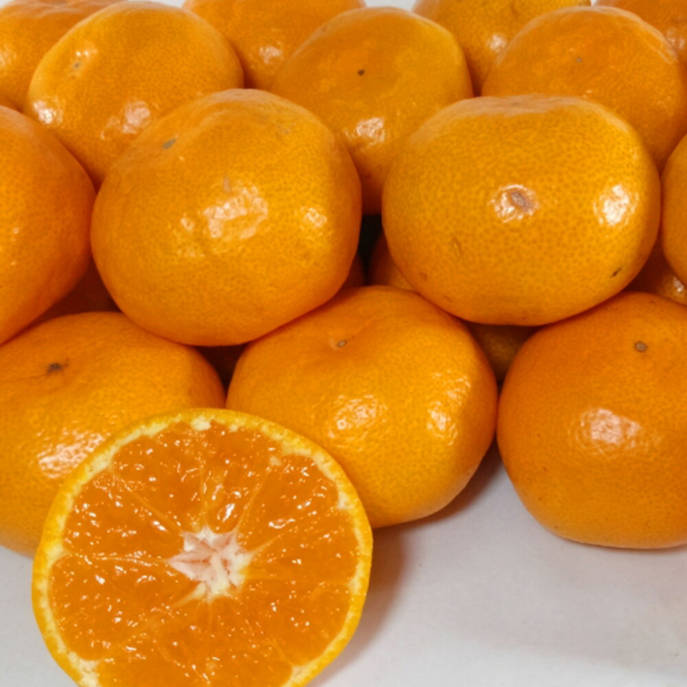 【ふるさと納税】 熊本県産 みかん 約3kg サイズ2L～S 蜜柑 柑橘 果実 果物 くだもの フルーツ おやつ 熊本市 国産 常温 送料無料 冷蔵【2025年10月下旬～2026年2月上旬迄発送予定】